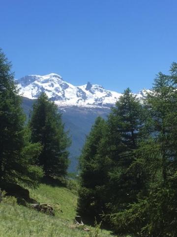 Apartament Haus Valaisia - Randa Bei Zermatt Zewnętrze zdjęcie
