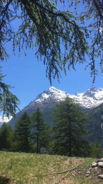 Apartament Haus Valaisia - Randa Bei Zermatt Zewnętrze zdjęcie